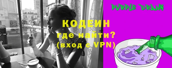 дмт Бородино