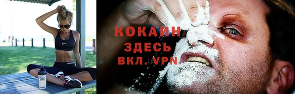 дмт Бородино