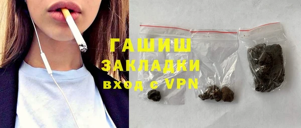 дмт Бородино