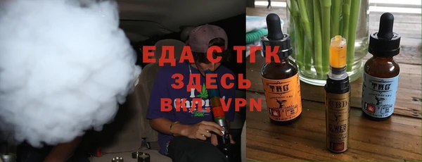 дмт Бородино