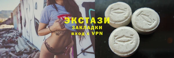 дмт Бородино