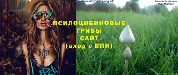 дмт Бородино