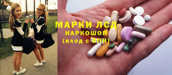дмт Бородино