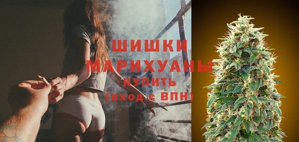 дмт Бородино