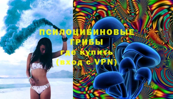 твердый Бронницы