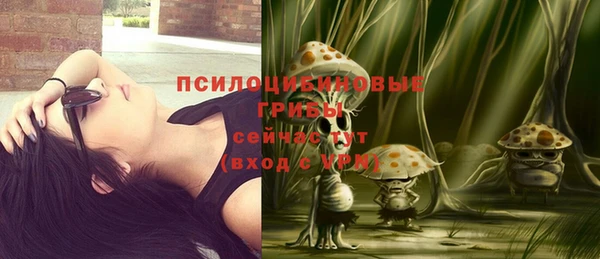 дмт Бородино