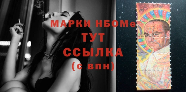 дмт Бородино